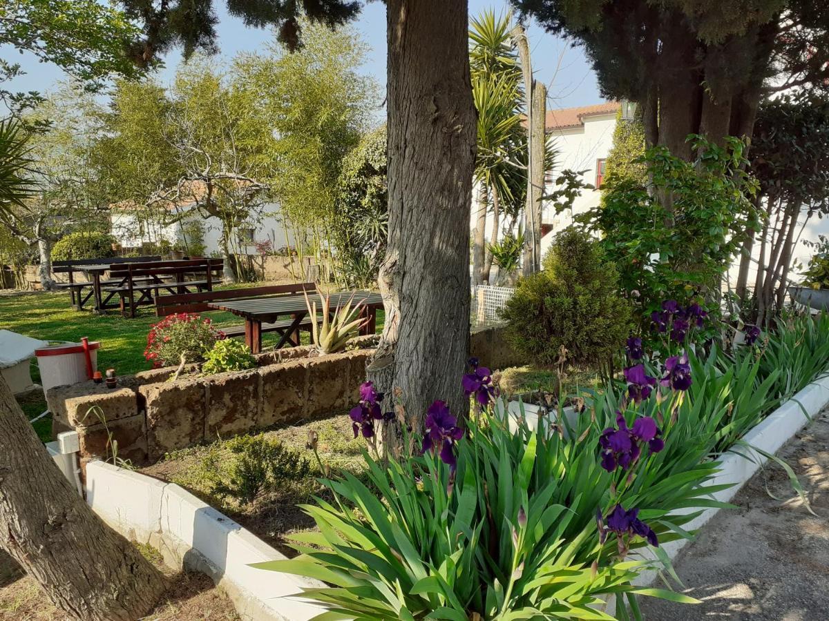 Pier Delle Vigne B&B Пінето Екстер'єр фото
