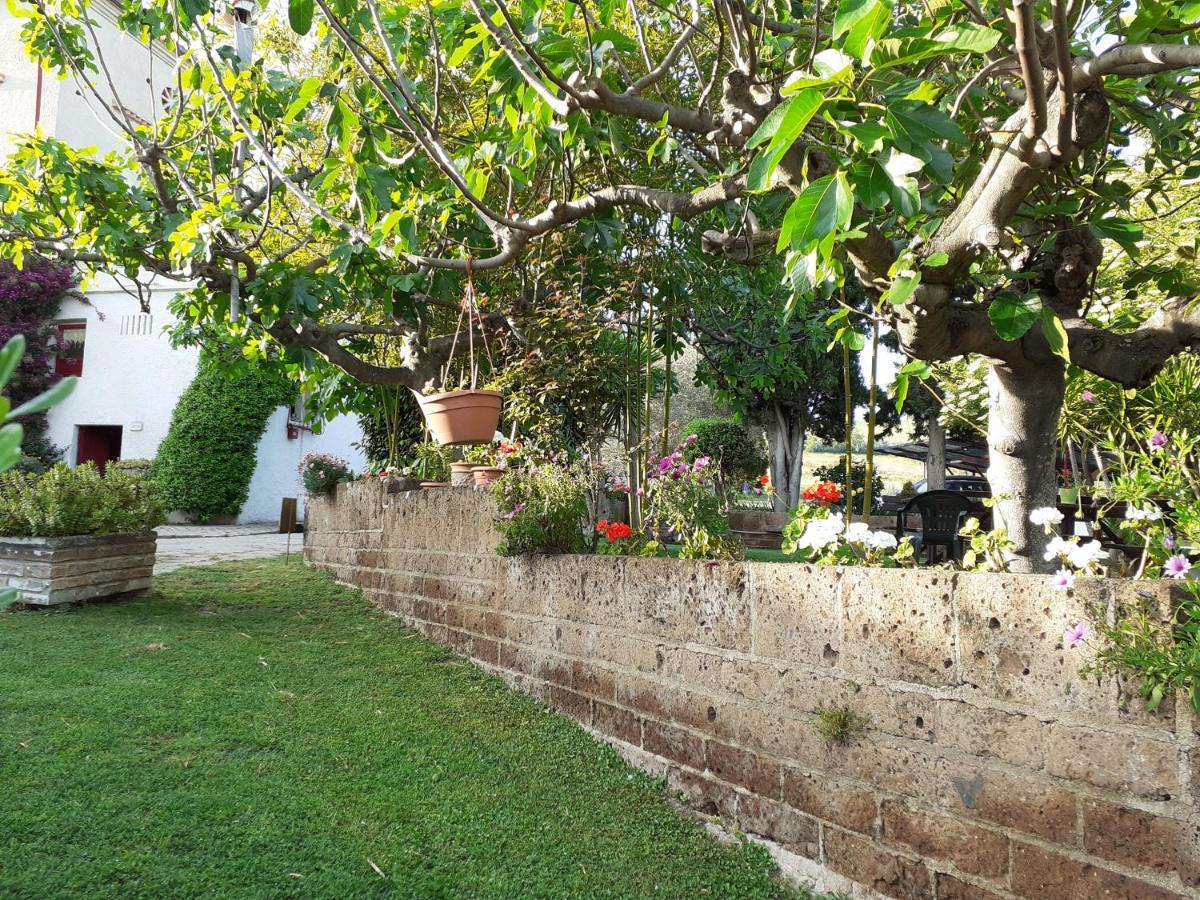 Pier Delle Vigne B&B Пінето Екстер'єр фото